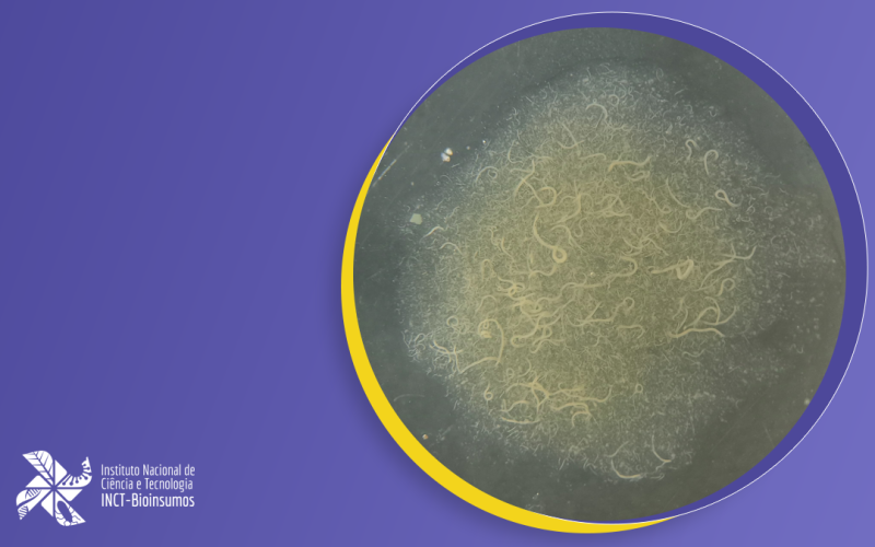laboratorio-nematoides